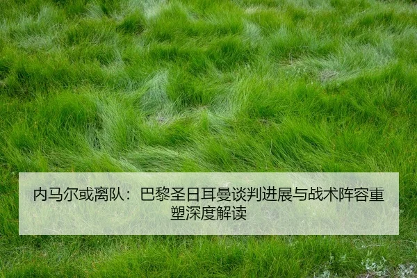 nei-ma-er-huo-li-dui-ba-li-sheng-ri-er-man-tan-pan-jin-zhan-yu-zhan-shu-zhen-rong-zhong-su-shen-du-jie-du-2-852.jpg